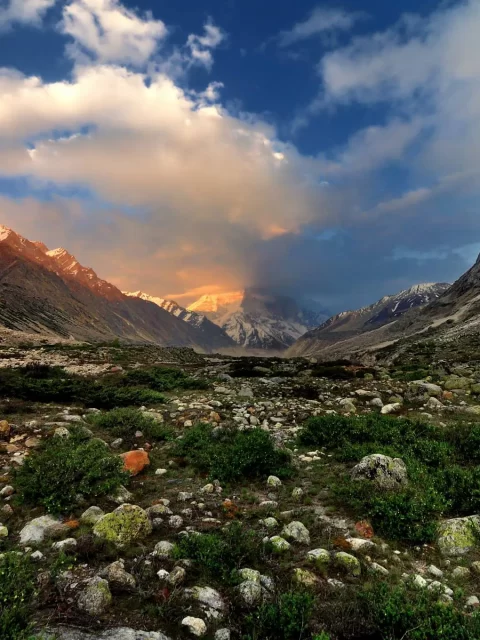 Gangotri-National-Park