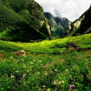 Valley of Flowers