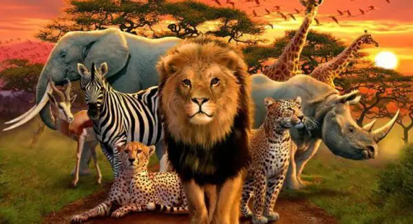 Wildlife