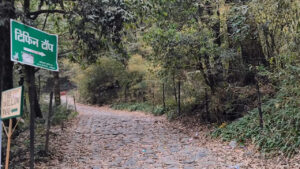 Tiffin Top Nainital