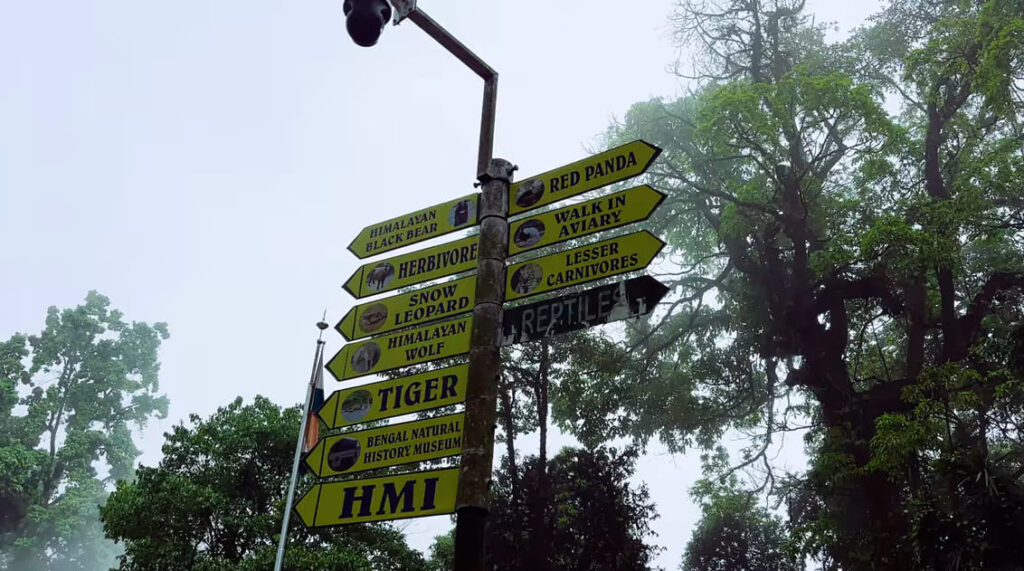Padmaja Naidu Himalayan Zoological Park Darjeeling