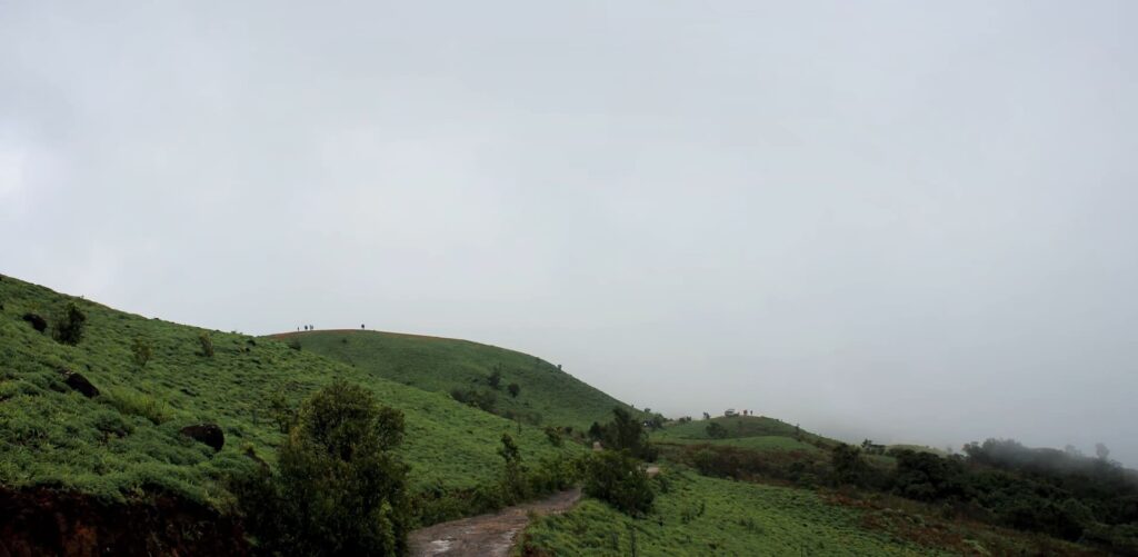 Coorg Monsoon Destinations in India