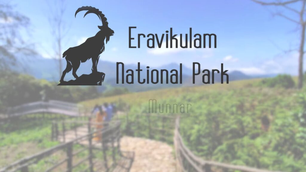 Eravikulam National Park Munnar