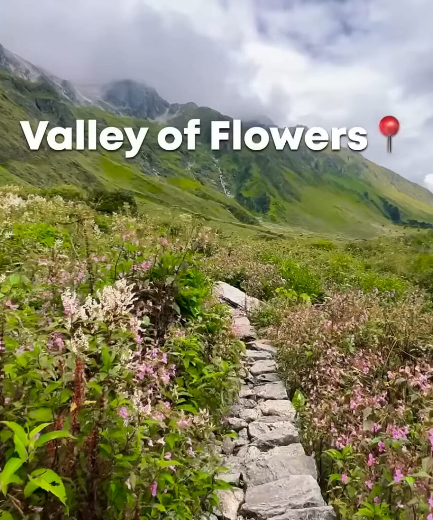 Valley of Flowers trek Uttarakhand in monsoon