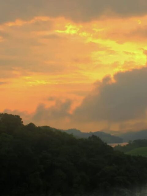 wayanad Monsoon Destinations in India