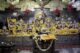 Radha Damodar Mandir Vrindavan